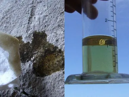Lichidele din mașină în mașină 6 fluide (lichide) Fluid în mașină 6 fluide în mașină