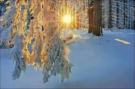 Solstitiul de iarna 2016