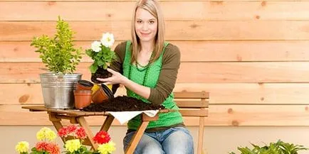 Vis flori de plante pentru a planta flori de interpretare, astfel încât vis într-un vis