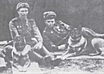 Câini pentru câini de război fapte în Marele Război pentru Apărarea Patriei (câine de război) Câini în isprăvile de război de câini pe Marele Război pentru Apărarea Patriei