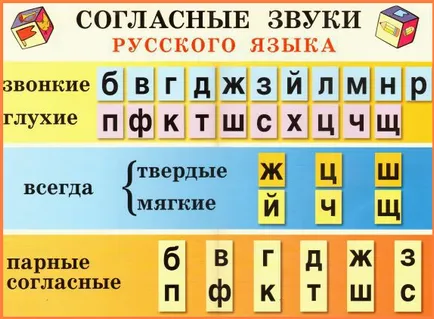 Conform sunetele limbii române (hard-soft, clar-orb, asociat-nu pereche, șuierat