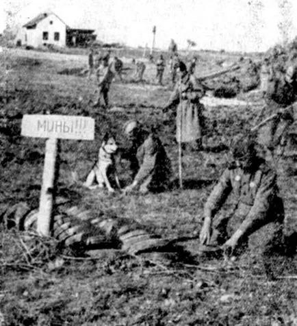 Câini pentru câini de război fapte în Marele Război pentru Apărarea Patriei (războiul) Câini în isprăvile de război de câini pe Marele Război pentru Apărarea Patriei