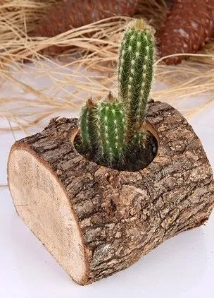 100 cele mai bune idei de decorare modul de a decora ghivece de flori cu mâinile lor (culoare) 100 cele mai bune idei de decorare modul de a decora ghivece de flori cu mâinile lor