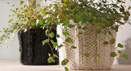 100 cele mai bune idei de decorare modul de a decora ghivece de flori cu mâinile lor (culoare) 100 cele mai bune idei de decorare modul de a decora ghivece de flori cu mâinile lor