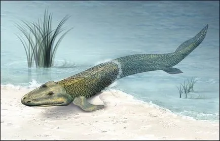 10 mărturii incredibile ale evoluției vieții pe pământ