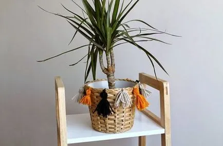 100 cele mai bune idei de decorare modul de a decora ghivece de flori cu mâinile lor (culoare) 100 cele mai bune idei de decorare modul de a decora ghivece de flori cu mâinile lor