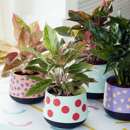 100 cele mai bune idei de decorare modul de a decora ghivece de flori cu mâinile lor (culoare) 100 cele mai bune idei de decorare modul de a decora ghivece de flori cu mâinile lor