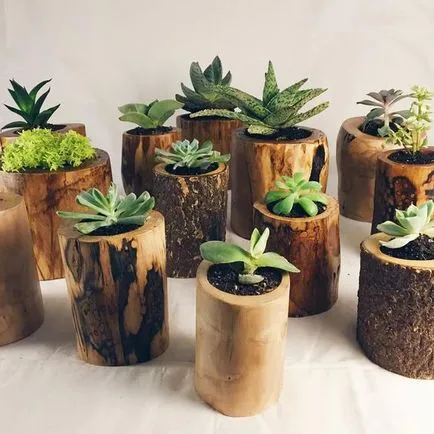 100 cele mai bune idei de decorare modul de a decora ghivece de flori cu mâinile lor (culoare) 100 cele mai bune idei de decorare modul de a decora ghivece de flori cu mâinile lor