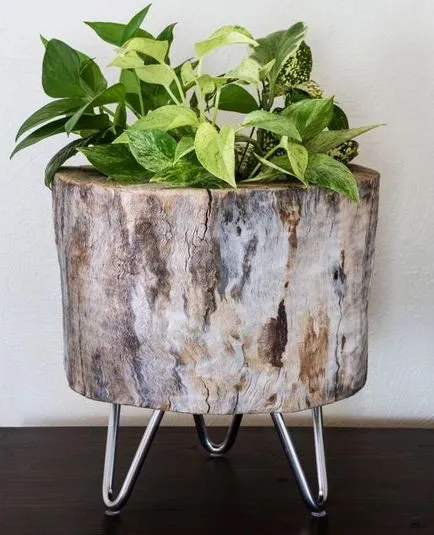 100 cele mai bune idei de decorare modul de a decora ghivece de flori cu mâinile lor (culoare) 100 cele mai bune idei de decorare modul de a decora ghivece de flori cu mâinile lor
