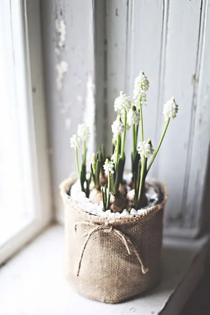 100 cele mai bune idei de decorare modul de a decora ghivece de flori cu mâinile lor (vase) 100 cele mai bune idei de decorare modul de a decora ghivece de flori cu mâinile lor