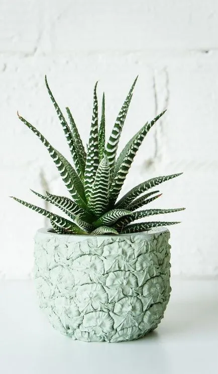 100 cele mai bune idei de decorare modul de a decora ghivece de flori cu mâinile lor (decor) 100 cele mai bune idei de decorare modul de a decora ghivece de flori cu mâinile lor
