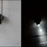 5 lucruri care trebuie trase din bulbul (do) 5 lucruri pe care le puteți face de la bec