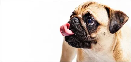 20 site-uri cu imagini gratuite pentru uz comercial - Blogul callbackhunter