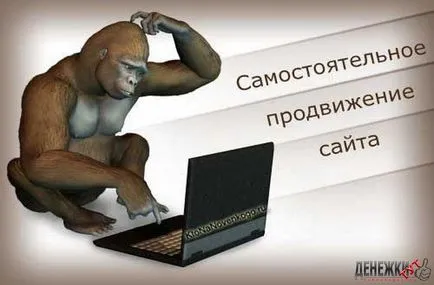 5 moduri de a elibera plasarea de articole pentru site-ul dvs.