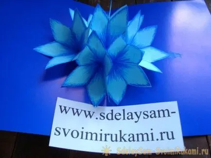 carte 3D cu flori, o clasă de master, cu propriile lor mâini (flori) carte 3D cu flori, o clasă de master, cu propriile lor mâini