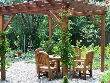 4 Recepția ca ascunde gradina ta de la vecini curioși