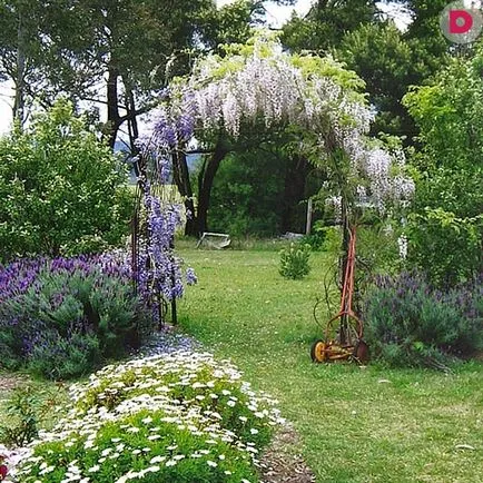 4 Recepția ca ascunde gradina ta de la vecini curioși