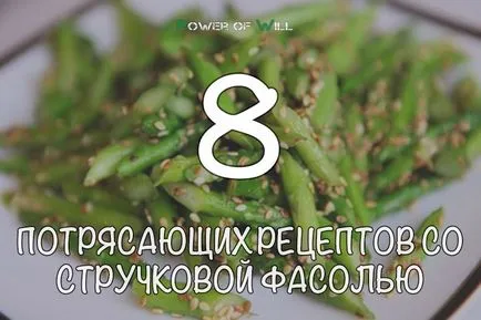 8 retete Fab cu fasole verde (glucide kcal, grăsimi, proteine) 8 retete Fab cu fasole verde