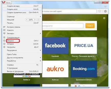 Adobe Flash Player pentru browser-ul Opera - erori de configurare