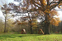 Regiunea Belgorod Wikipedia - Wikipedia Harta Belgorod Regiune - Informații de la Wikipedia