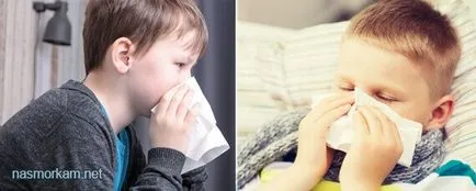 cauzele rinitei atrofice și simptome