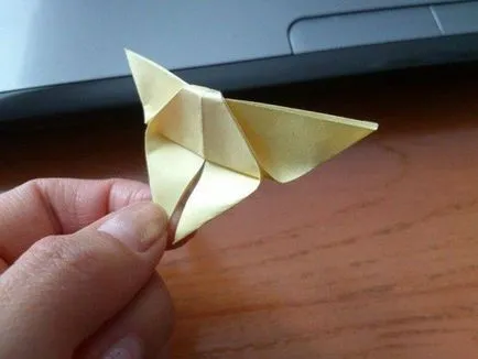 Butterfly de hârtie cu mâinile Masterclass dvs. (foto)