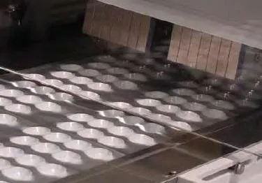 Blister - ceea ce este ambalajul blister și beneficii (blister) Blister - ceea ce este producția de beneficii și ambalaje tip blister