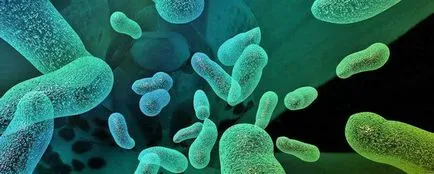 Termenul de biologie ceea ce înseamnă că un om de știință în primul rând a propus utilizarea biologiei termenul