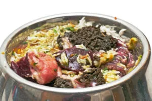 Feed Terier Alegerea hranei pentru animale și produse alimentare (Terier) Ce să se hrănească o alegere Terier de hrană pentru animale și produse alimentare