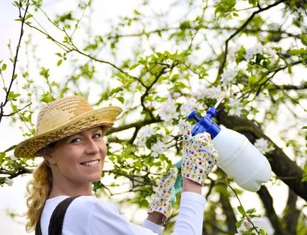 Spray-ul de grădină, înainte și după înflorire (după) Spray-ul de grădină, înainte și după înflorire