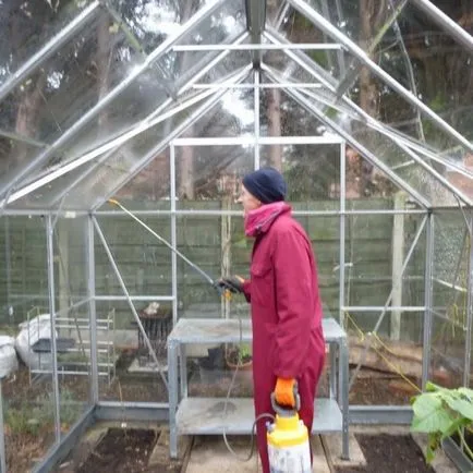 Arcul mâner dăunătorilor cu efect de seră și a bolilor înainte de plantare de prelucrare de sere (dăunătorilor) Arcul mâner dăunătorilor cu efect de seră și a bolilor înainte de plantare de prelucrare a unor sere
