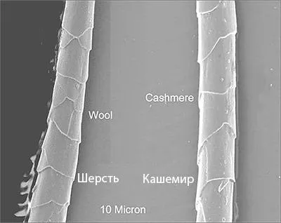 Ce este de 1 micron
