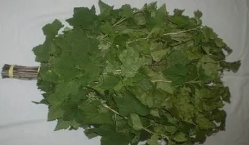 Care este cel mai bun baie ruseasca sau sauna (mai bună) Care este cel mai bun baie ruseasca sau sauna