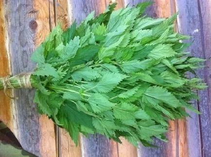 Care este cel mai bun baie ruseasca sau sauna (rusă) Care este cel mai bun baie ruseasca sau sauna