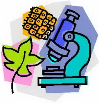 Care este biologia definiția și semnificația biologiei (cuvinte) Care este biologia definiția și semnificația biologiei
