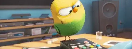Ce să vezi filme și emisiuni TV pentru toate ocaziile (a se vedea) Ce să vezi filme și emisiuni TV pentru toate ocaziile