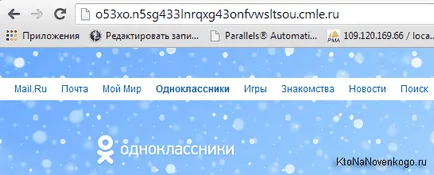 Care este Anonimizator (cameleon, mosoare) sau cum se ascunde adresa IP pentru a conecta VKontakte,