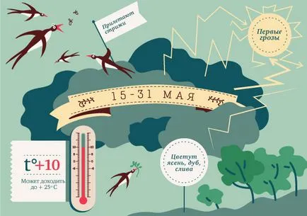 Ce se intampla in natura primavara infografică, infografice, întrebare-răspuns, argumente și fapte