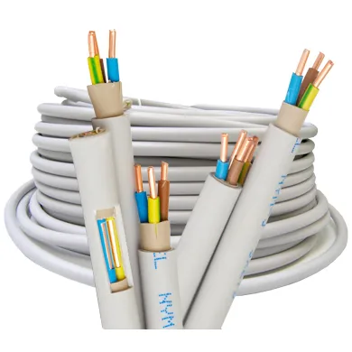 Care este cablul care este plumb, cumparatori, interent cablu magazin