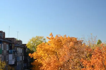 Ce este un filtru de polarizare (de cpl) și ceea ce este pentru (filtru) Ce este un filtru de polarizare (CPL) și ceea ce este pentru
