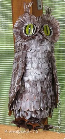 Owl de sticle de plastic - temele