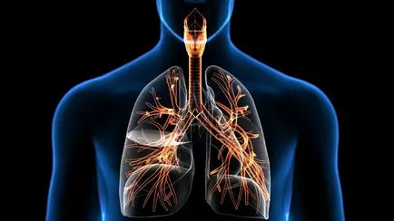 Spirometrie ce fel de studiu, indicații și contraindicații