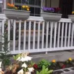 pat de flori - 100 idei cu privire la modul de a decora secțiunea foto (idei) pat de flori - 100 idei cu privire la modul de a decora secțiunea fotografie