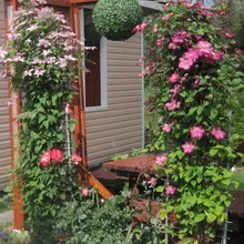 grădină de flori în țară cu propriile mâini design-ul dispozitivelor foto și paturi de flori, cum să faci o grădină de flori (cu mâinile) grădină de flori în țară cu propriile mâini design-ul dispozitivelor foto și flori paturi, cum să faci o grădină de flori