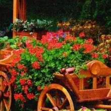 grădină de flori în țară cu propriile mâini design-ul dispozitivelor foto și paturi de flori, cum să faci o grădină de flori (cu mâinile) grădină de flori în țară cu propriile mâini design-ul dispozitivelor foto și flori paturi, cum să faci o grădină de flori