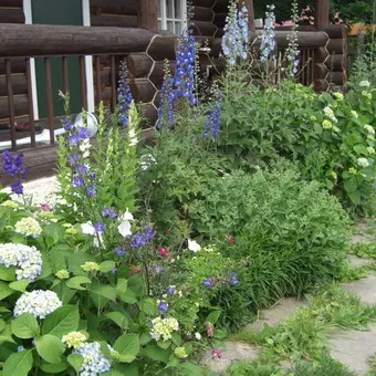 grădină de flori în țară cu propriile mâini design-ul dispozitivelor foto și paturi de flori, cum să faci o floare (floare) grădină de flori în țară cu propriile mâini design-ul dispozitivelor foto și flori paturi, cum să faci o grădină de flori