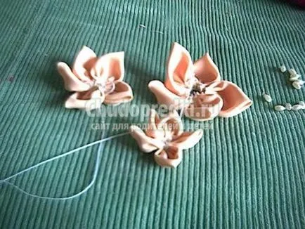 flori Fabric cu propriile sale mâini (mâini) flori Fabric cu propriile sale mâini