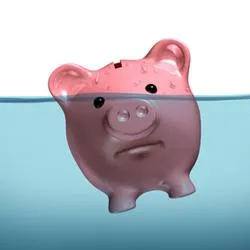 Debitorul - este