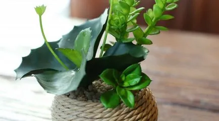ghivece pentru flori Decor cu propriile sale mâini - 6 idei (38 poze) (arme) ghivece pentru flori Decor cu propriile sale mâini - 6 idei (38 poze)