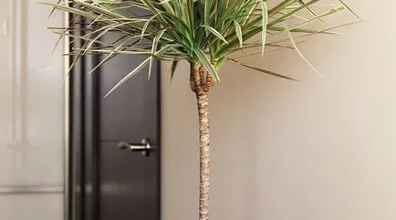 ghivece pentru flori Decor cu propriile sale mâini - 6 idei (38 poze) (vase) ghivece pentru flori Decor cu propriile sale mâini - 6 idei (38 poze)